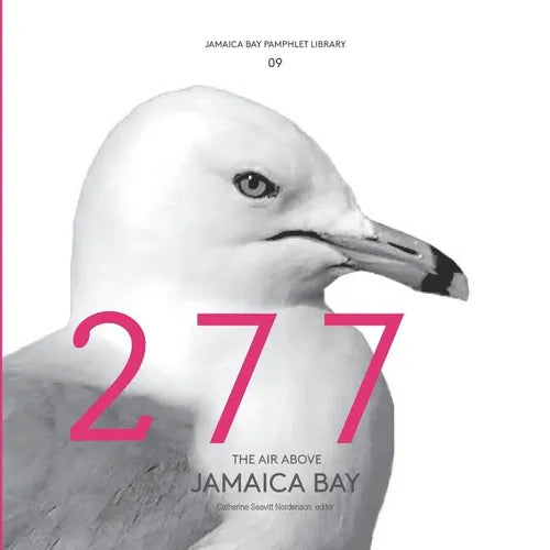 Jamaica Bay Pamphlet Library 09: The Air Above Jamaica Bay - Paperback