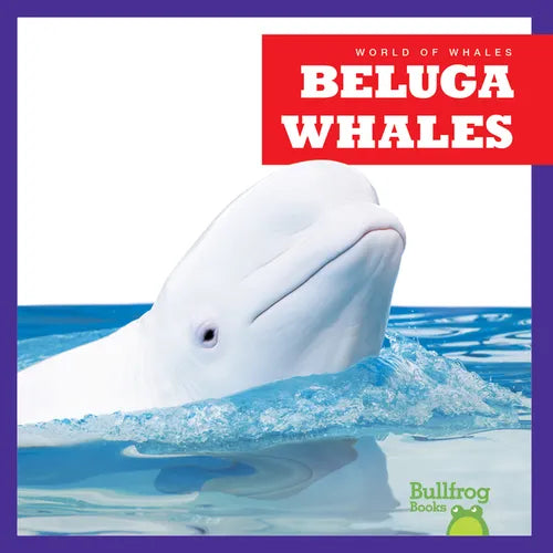 Beluga Whales - Paperback
