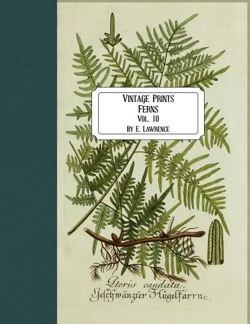 Vintage Prints: Ferns: Vol. 10 - Paperback