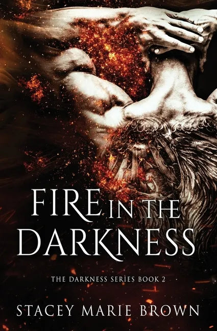 Fire in the Darkness - Paperback