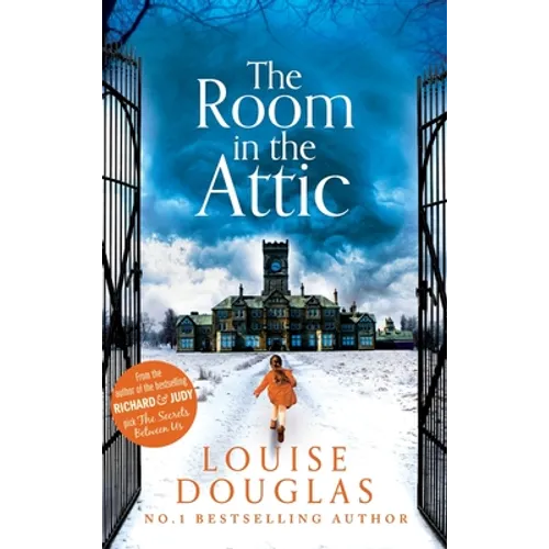 The Room in the Attic - Hardcover
