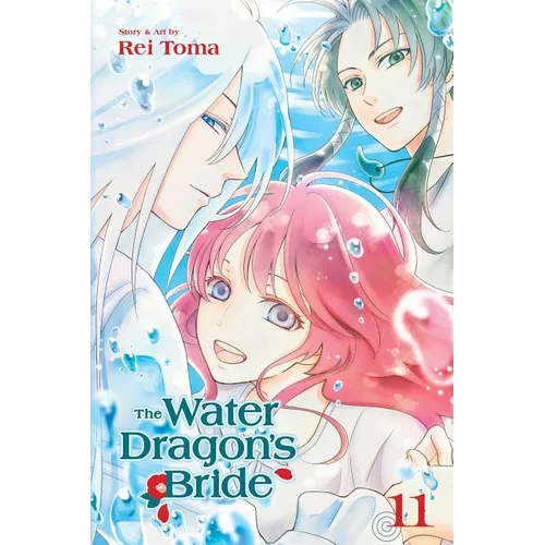 The Water Dragon's Bride, Vol. 11 - Paperback
