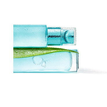 L'Oreal Paris Moisturizing Face Cream with Aloe Vera - Hydrating Face Care for Dry to Combination Skin
