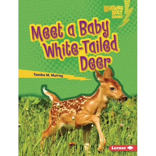 Meet a Baby White-Tailed Deer - Library Binding