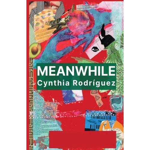 Meanwhile - Paperback
