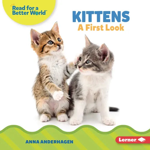 Kittens: A First Look - Library Binding