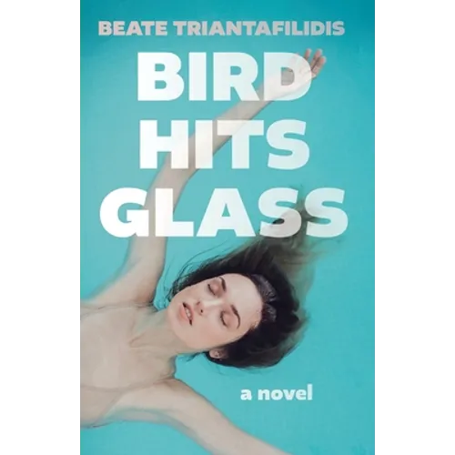 Bird Hits Glass - Paperback