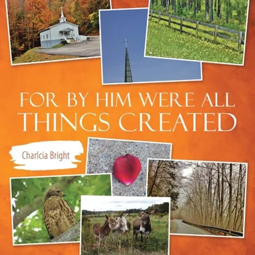For by Him Were All Things Created - Paperback