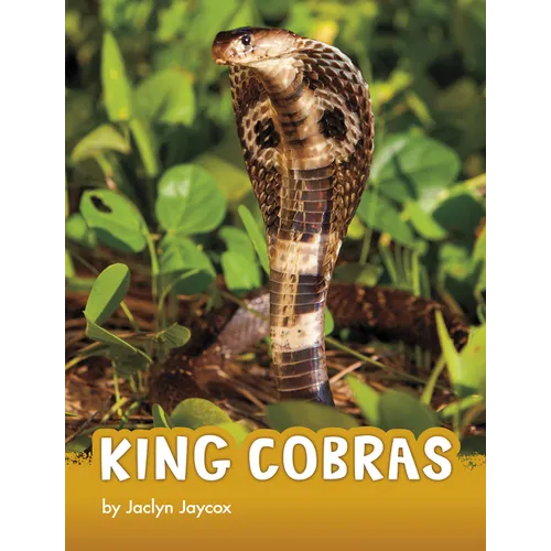 King Cobras - Hardcover