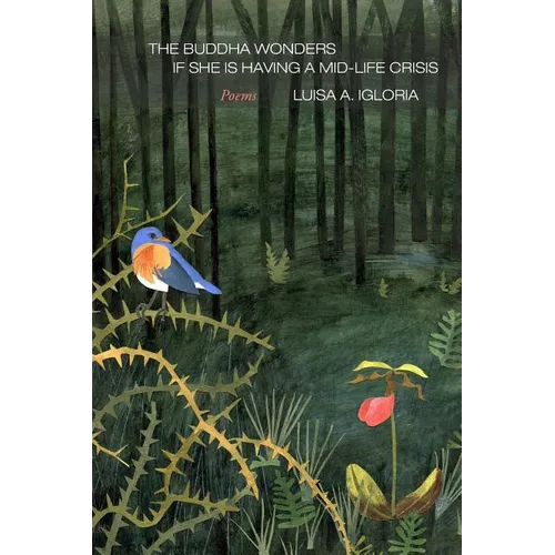 The Buddha Wonders if She is Having a Mid-life Crisis - Paperback