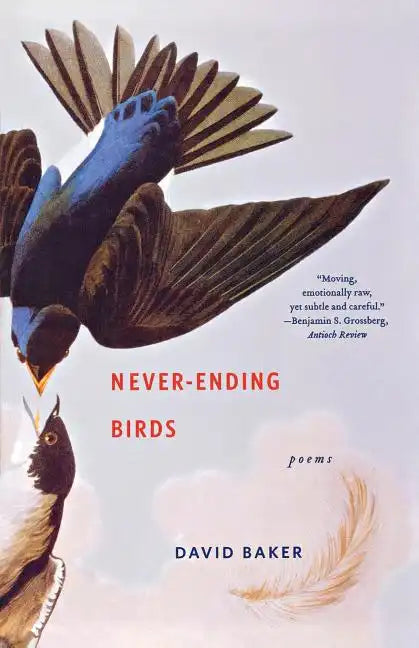 Never-Ending Birds: Poems - Paperback