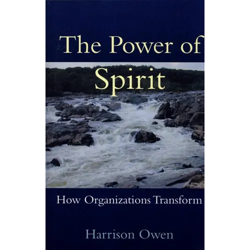 The Power of Spirit: How Organizations Transform - Paperback