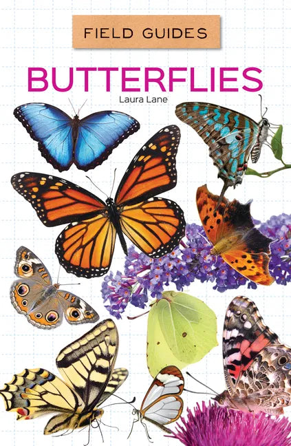 Butterflies - Library Binding
