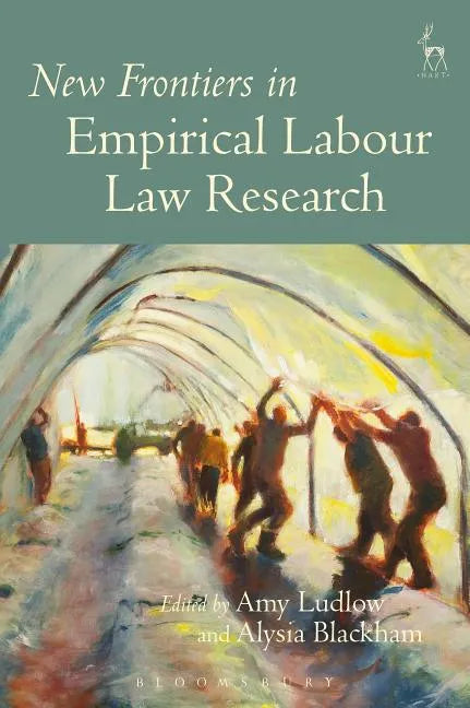 New Frontiers in Empirical Labour Law Research - Paperback
