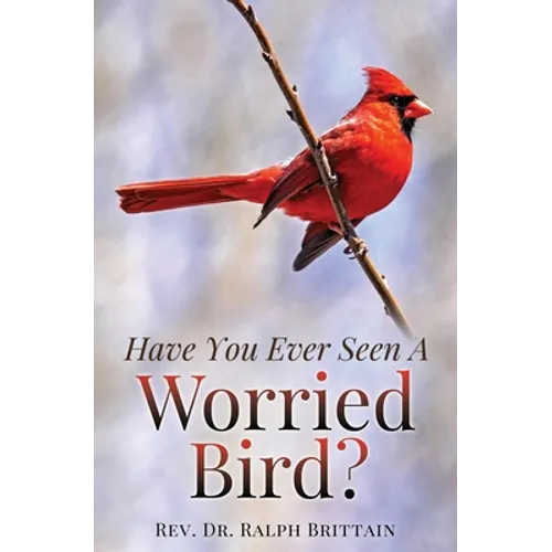 Have You Ever Seen A Worried Bird? - Paperback