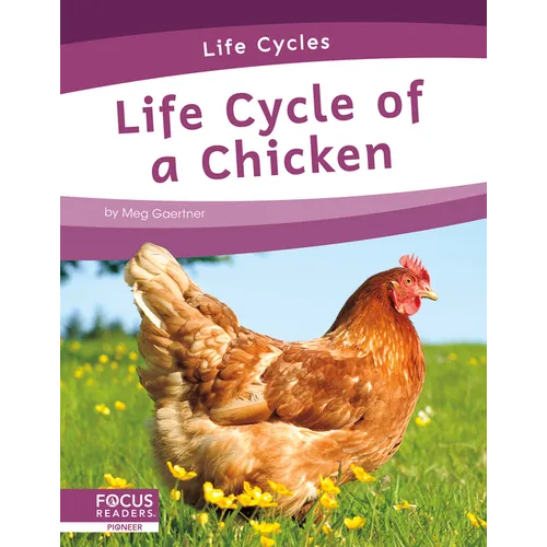 Life Cycle of a Chicken - Paperback