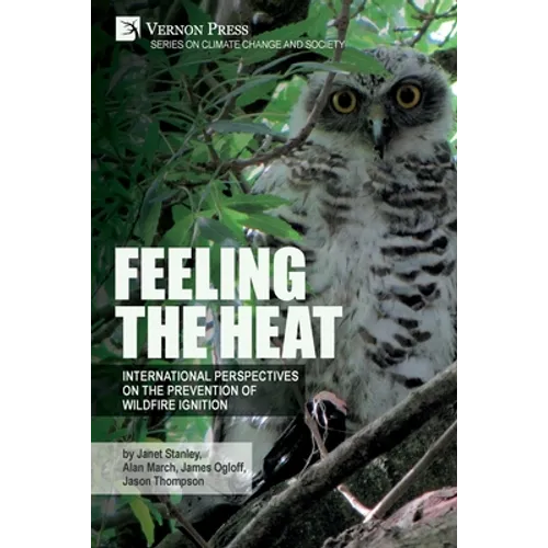 Feeling the heat: International perspectives on the prevention of wildfire ignition - Paperback