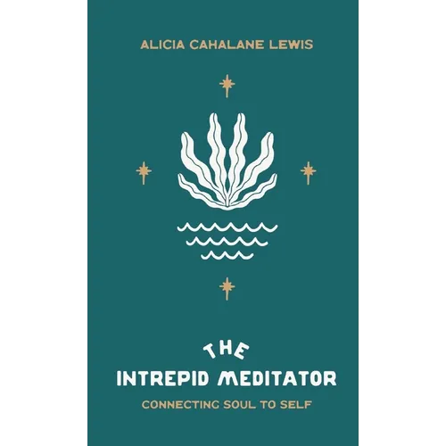 The Intrepid Meditator: Connecting Soul To Self - Paperback