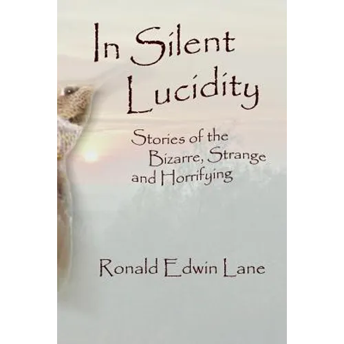 In Silent Lucidity - Paperback
