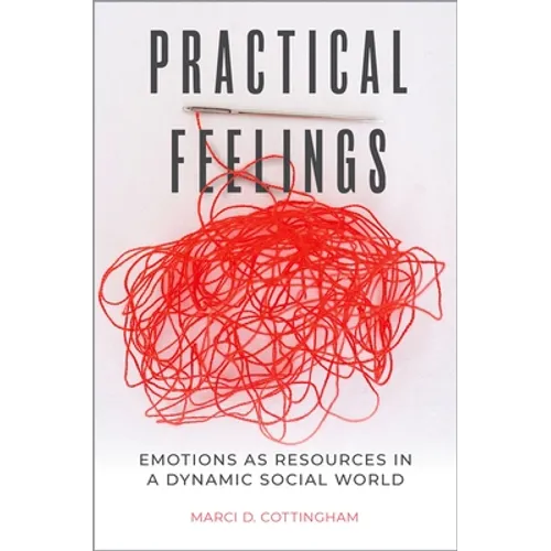 Practical Feelings: Emotions as Resources in a Dynamic Social World - Paperback