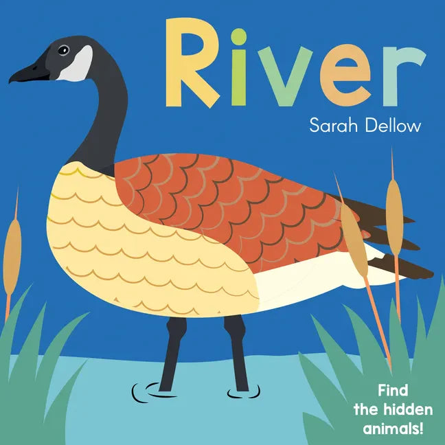 Now You See It! River - Board Book