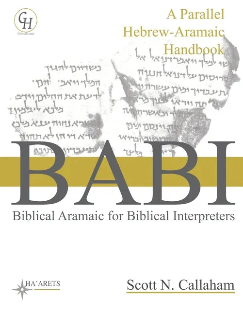 Biblical Aramaic for Biblical Interpreters: A Parallel Hebrew-Aramaic Handbook - Paperback