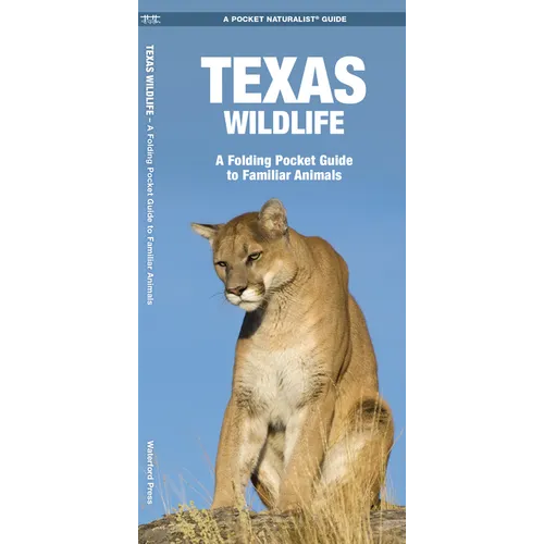 Texas Wildlife: An Introduction to Familiar Species - Paperback