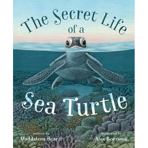 The Secret Life of a Sea Turtle - Hardcover