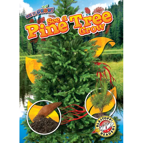 See a Pine Tree Grow - Library Binding