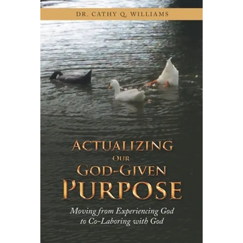 Actualizing Our God-Given Purpose: Moving from Experiencing God to Co-Laboring with God - Paperback