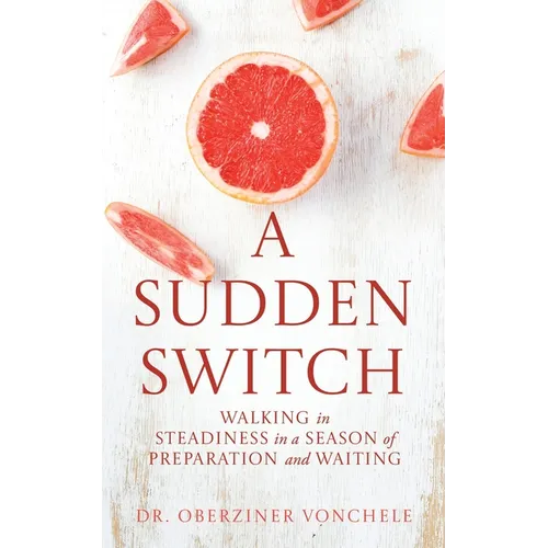 A Sudden Switch: Walking in Steadiness in a Season of Preparation and Waiting - Paperback