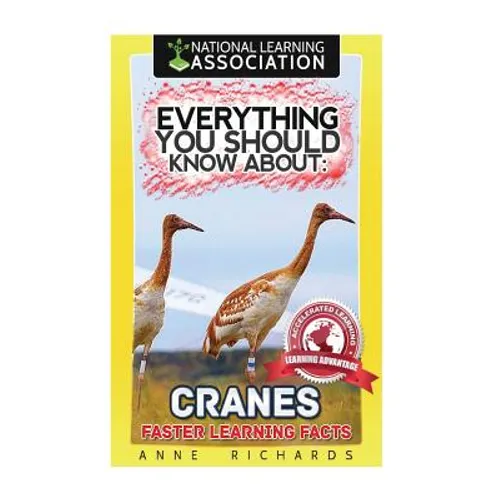Everything You Should Know About: Cranes - Paperback