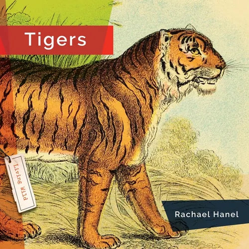 Tigers - Library Binding