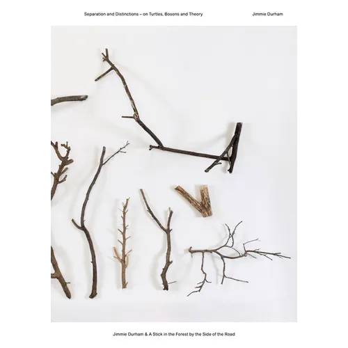 Jimmie Durham & a Stick in the Forest by the Side of the Road: Separation and Distinctions - On Turtles, Bosons and Theory - Paperback