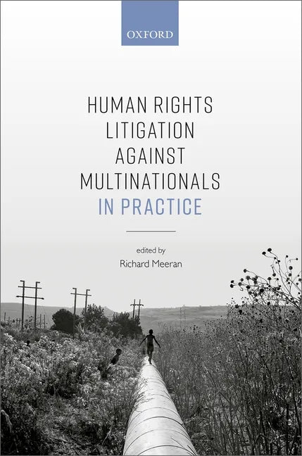 Human Rights Litigation Against Multinationals in Practice - Hardcover
