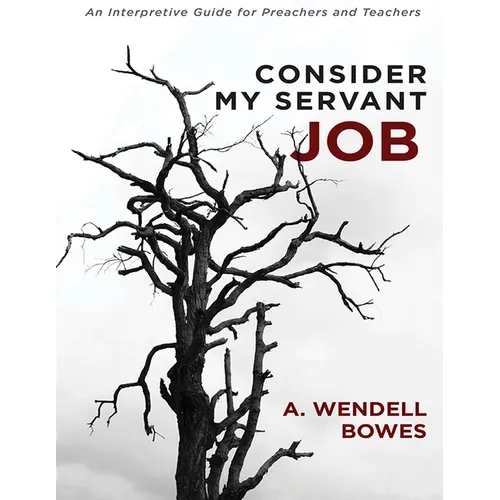 Consider My Servant Job: An Interpretive Guide for Preachers and Teachers - Paperback