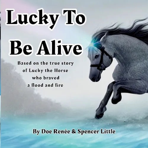 Lucky To Be Alive - Paperback