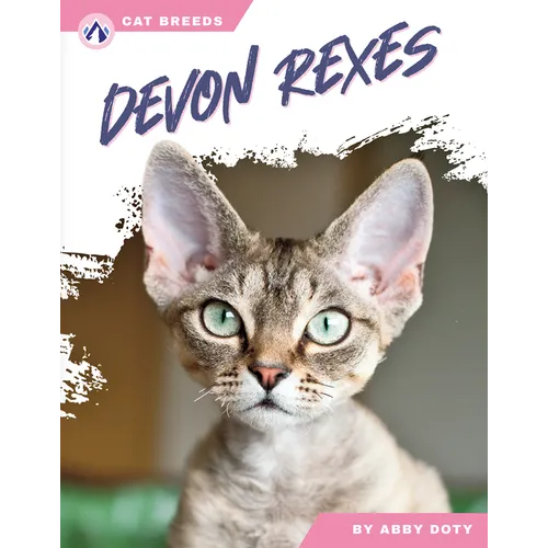 Devon Rexes - Paperback