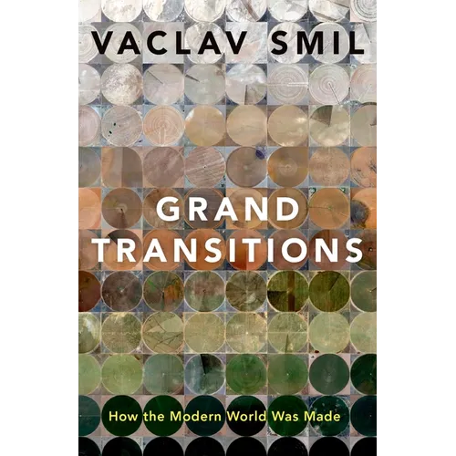 Grand Transitions: How the Modern World Was Made - Hardcover
