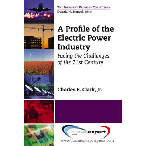 A Profile of the Electric Power Industry: Facing the Challenges of the 21st Century - Paperback
