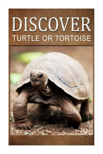 Turtle Or Tortoise - Discover: Early reader's wildlife photography book - Paperback