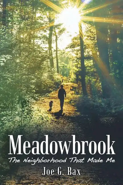 Meadowbrook: The Neighborhood That Made Me - Paperback