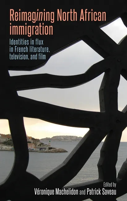 Reimagining North African Immigration: Identities in Flux in French Literature, Television, and Film - Paperback