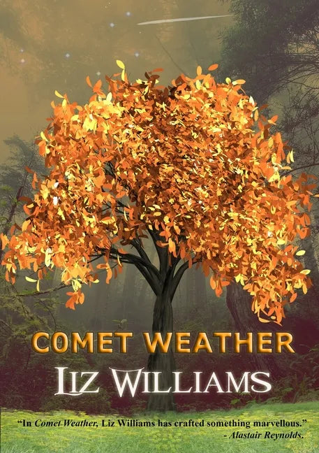 Comet Weather - Paperback