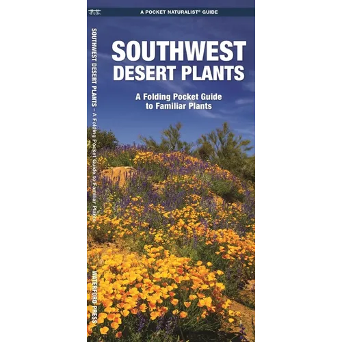 Southwestern Desert Plants: An Introduction to Familiar Species - Paperback
