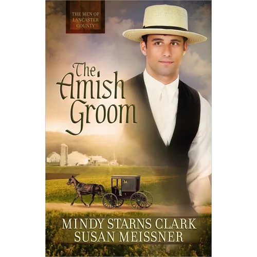 The Amish Groom: Volume 1 - Paperback