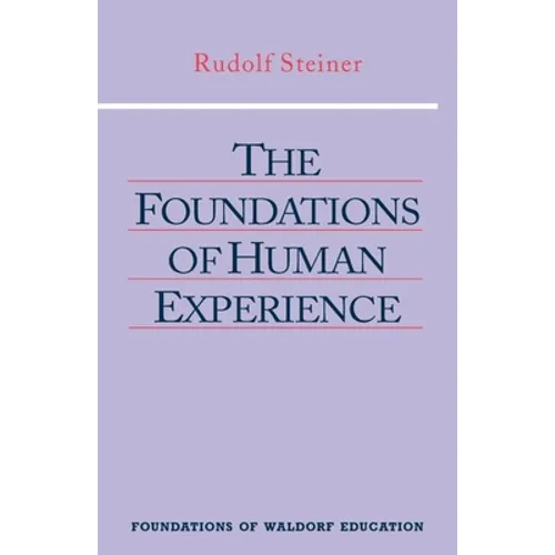 The Foundations of Human Experience: (Cw 293 & 66) - Paperback