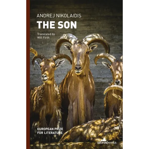 The Son - Paperback