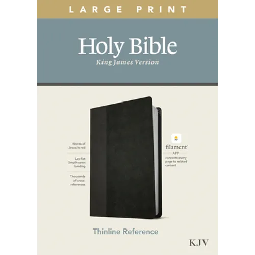 KJV Large Print Thinline Reference Bible, Filament Enabled Edition (Red Letter, Leatherlike, Black/Onyx) - Imitation Leather