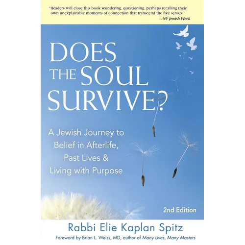 Does the Soul Survive? (2nd Edition): A Jewish Journey to Belief in Afterlife, Past Lives & Living with Purpose - Hardcover
